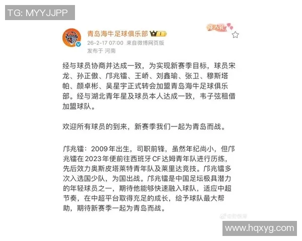 中国足球明星风云榜最火球员背后的故事与成就解析